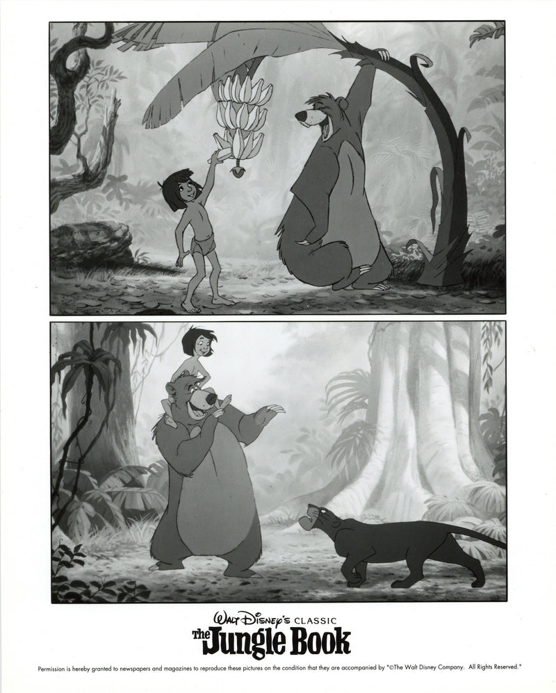 Disney Publicity Photo (1960s): The Jungle Book