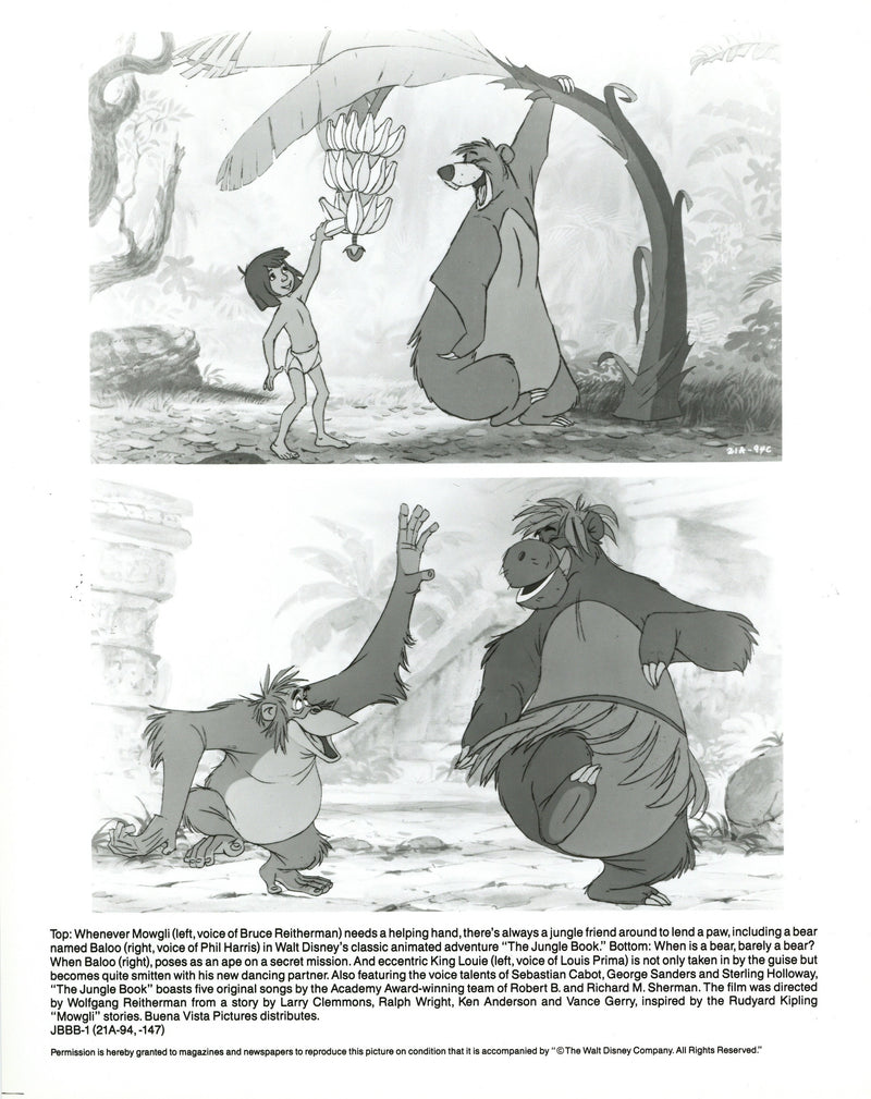 Disney Publicity Photo (1960s): The Jungle Book