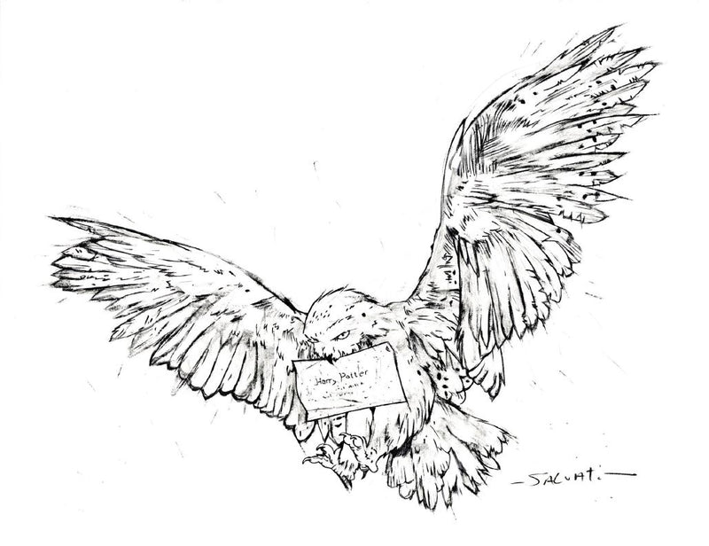 Jim Salvati Signed Original Drawing: Hedwig (Framed)